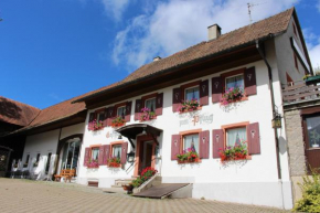  Hotel Landgasthof zum Pflug  Штайнен